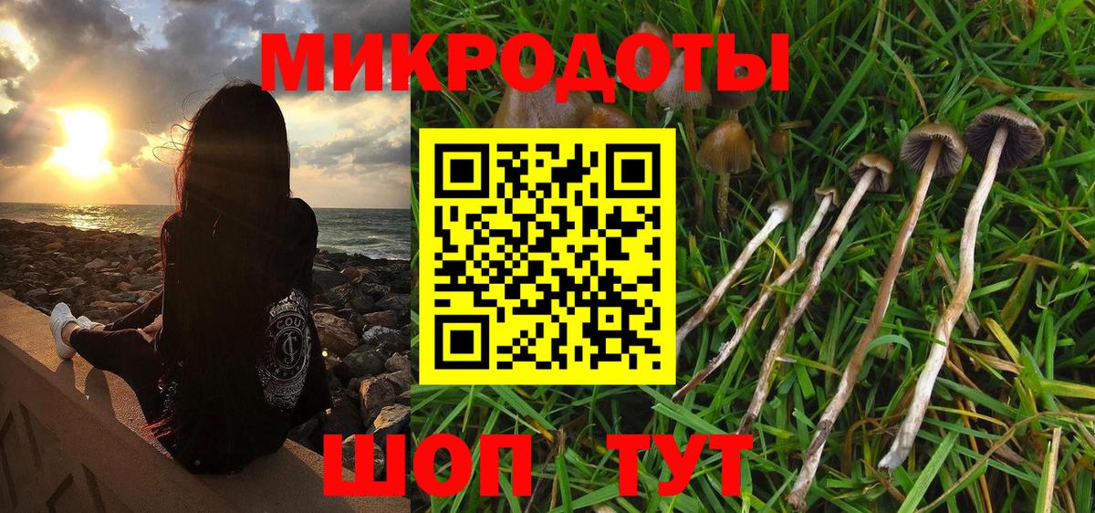 Галлюциногенные грибы мицелий Ступино