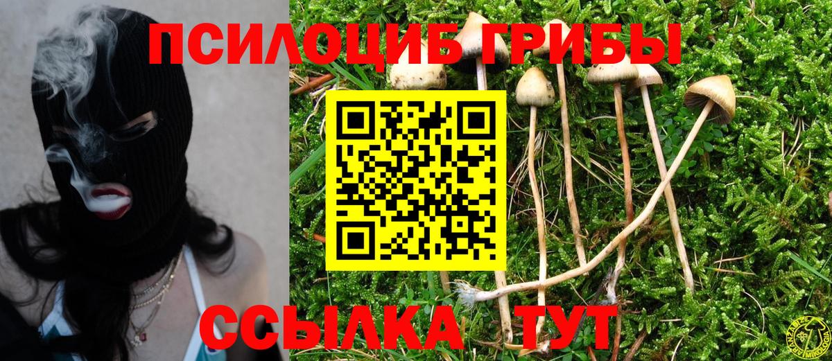 Псилоцибиновые грибы Psilocybine cubensis  Вход с VPN  даркнет сайт  Ступино 